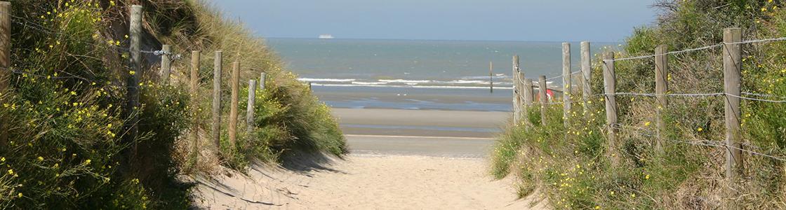 Duinen De Panne